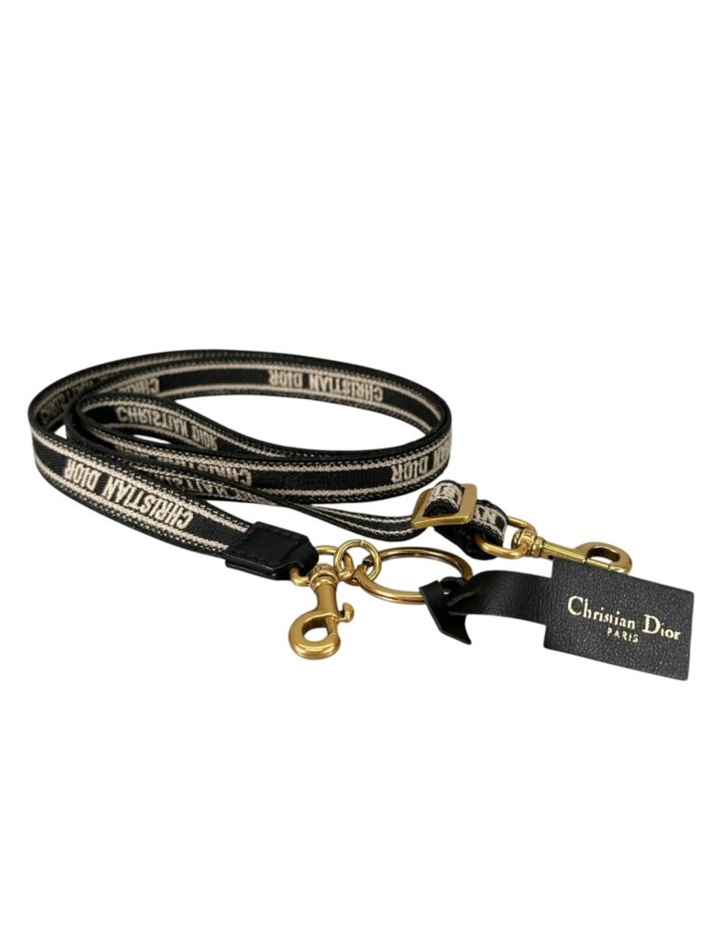 Dior Logo Micro Leather Canvas Black Shoulder Strap Gold